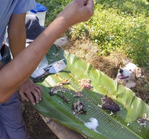 Banana Plate